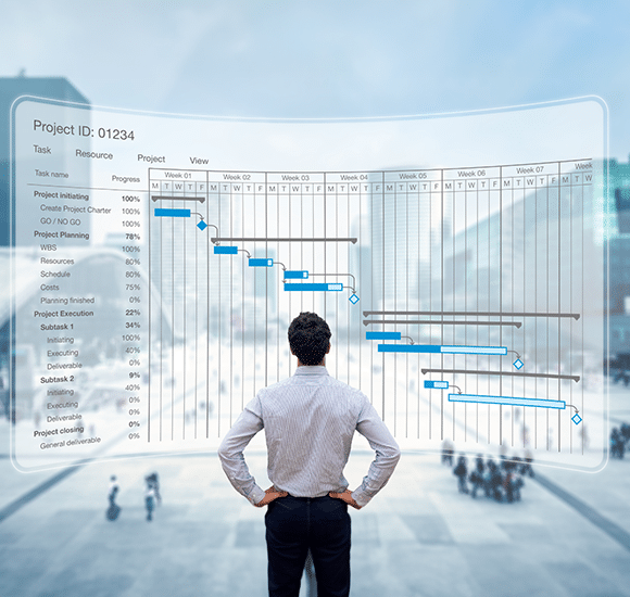 Integrated Project Schedule