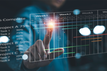 Integrated Project Schedule